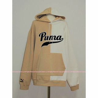 限定モデル⭐️PUMA プーマ チーム カラー ブロック フーディ パーカー/L