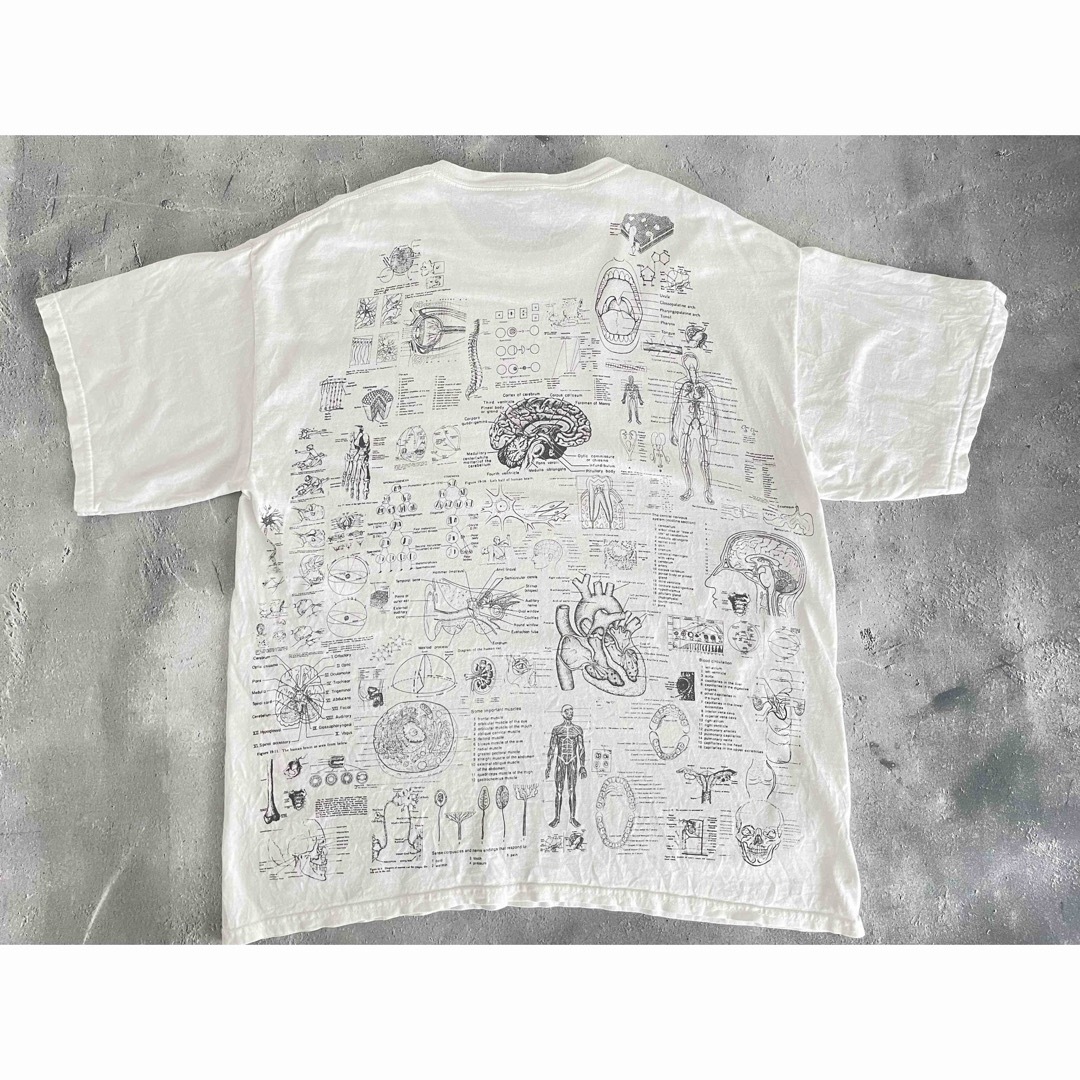 GILDAN(ギルタン)の【ヴィンテージ】00s TEST ANSWER TシャツGILDAN XL メンズのトップス(Tシャツ/カットソー(半袖/袖なし))の商品写真