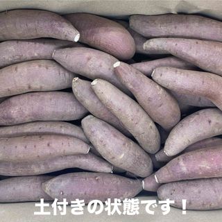 【Sサイズ】　シルクスイート  5Kg   愛知県産  さつまいも(野菜)