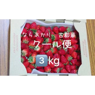 いちご　3kg 古都華　ならあかり　小粒　ジャム用　加工用　橋本農園　苺　イチゴ(フルーツ)