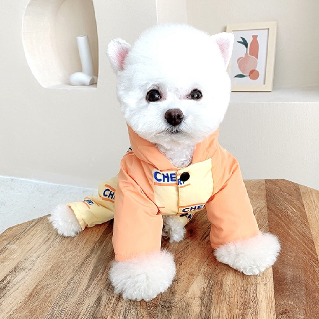 XLサイズ【 フード付き ダウン ロンパース Cheer  犬 服 】ペット服 その他のペット用品(犬)の商品写真