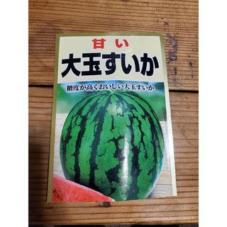 大玉すいか　種　5粒(フルーツ)