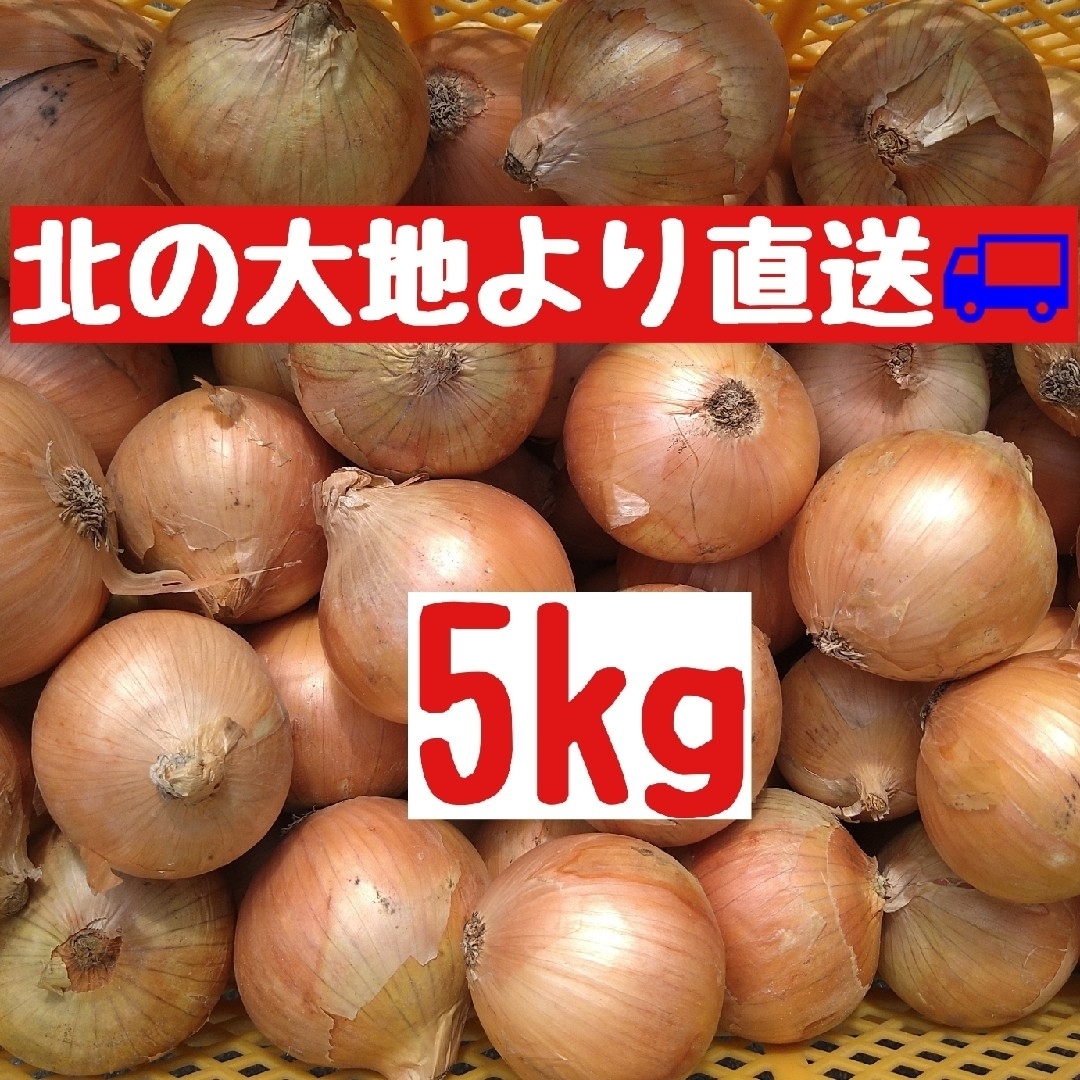 産地直送　北海道産玉ねぎ5kg(Ｌ大) 食品/飲料/酒の食品(野菜)の商品写真