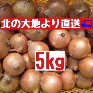 産地直送　北海道産玉ねぎ5kg(Ｌ大)(野菜)