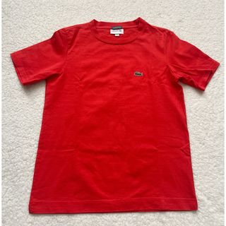 LACOSTE - 試着のみ　LACOSTE EXCLUSIVEEDITION  xxs  Tシャツ