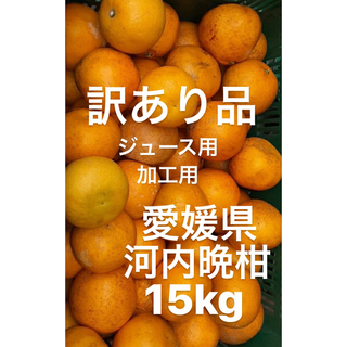 訳あり品　愛媛県産　河内晩柑　宇和ゴールド　柑橘　ジュース用　加工用　15kg(フルーツ)