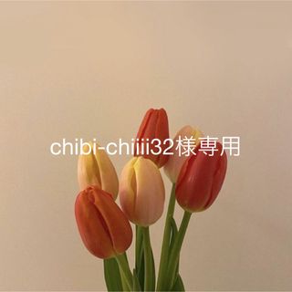 chibi-chiiii32様専用(化粧水/ローション)