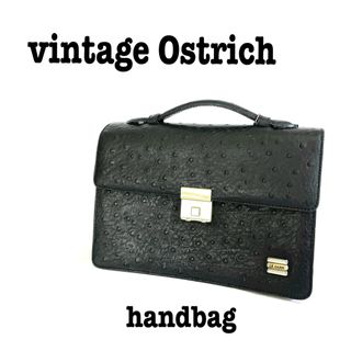 ロキエ(Lochie)の美品【 vintage 】 LE SABBI オーストリッチ　ハンドバッグ(ハンドバッグ)