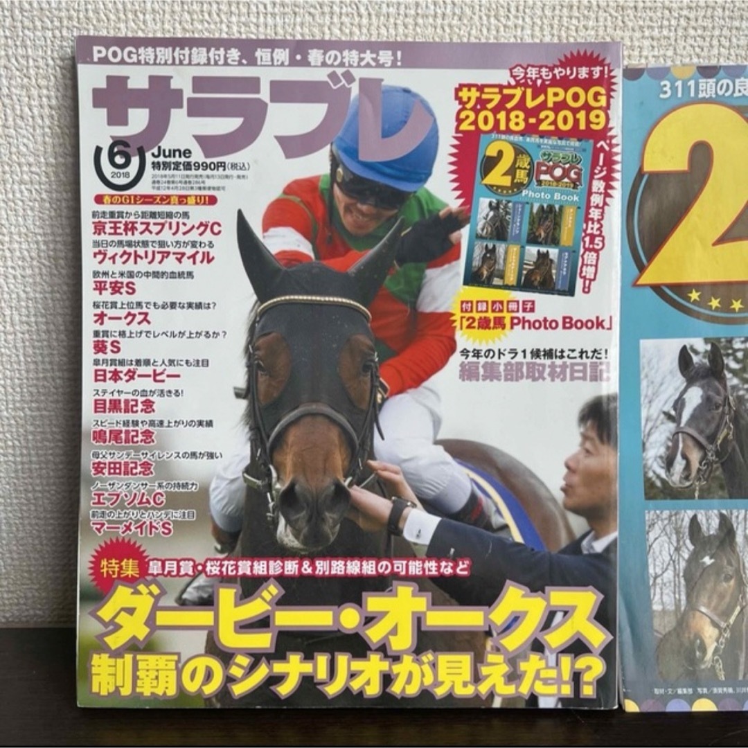 サラブレ 競馬雑誌　2018年　6月　競馬　雑誌サラブレPOG エンタメ/ホビーの雑誌(趣味/スポーツ)の商品写真