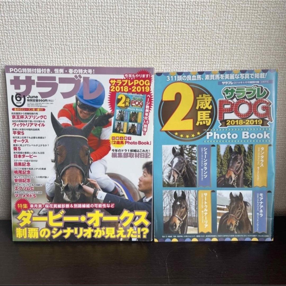 サラブレ 競馬雑誌　2018年　6月　競馬　雑誌サラブレPOG エンタメ/ホビーの雑誌(趣味/スポーツ)の商品写真