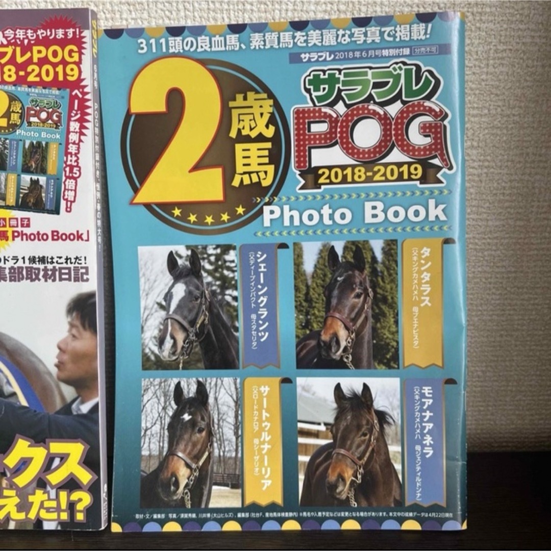 サラブレ 競馬雑誌　2018年　6月　競馬　雑誌サラブレPOG エンタメ/ホビーの雑誌(趣味/スポーツ)の商品写真