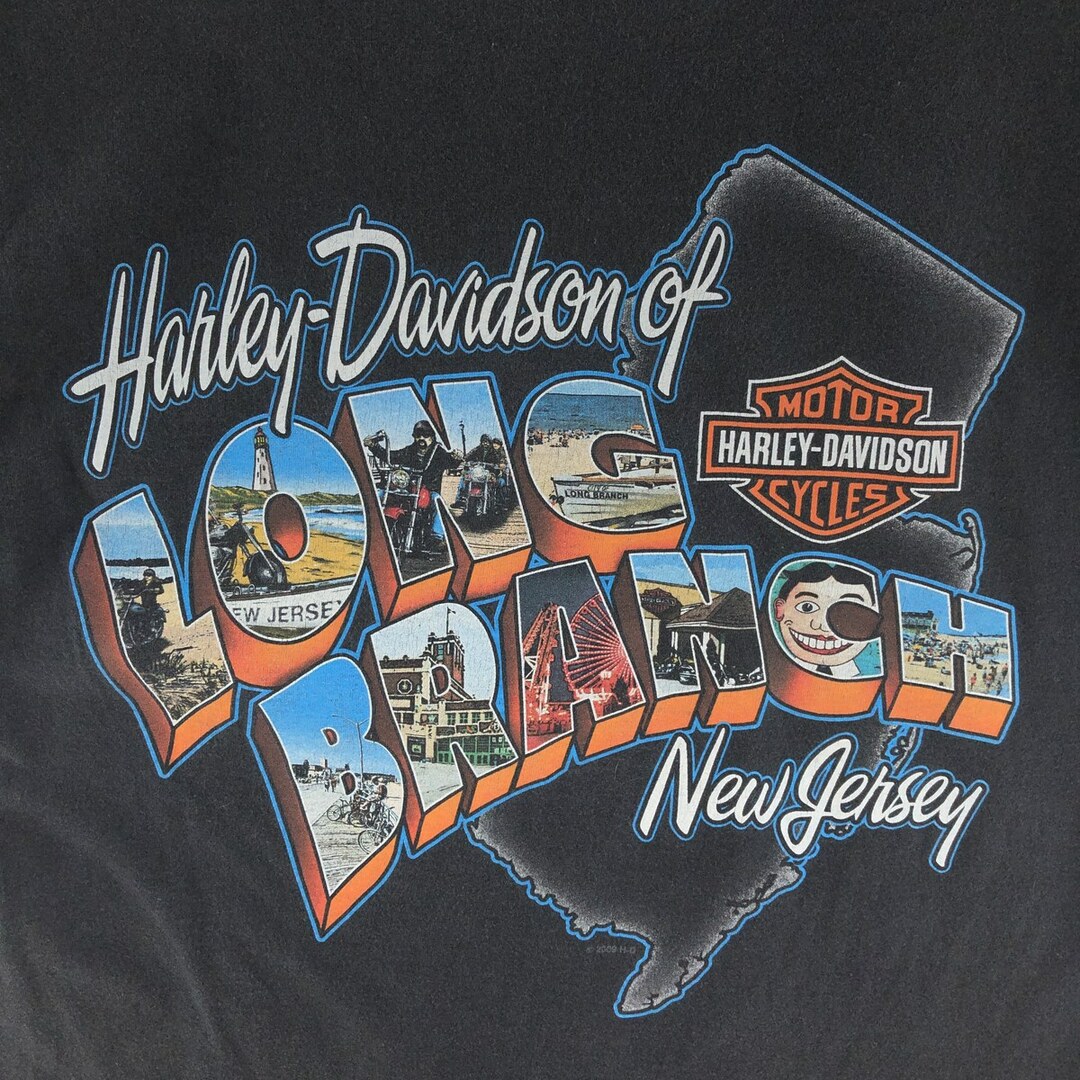 Harley Davidson(ハーレーダビッドソン)の古着 00年代 ハーレーダビッドソン Harley-Davidson HANES モーターサイクル バイクTシャツ メンズM /eaa390161 メンズのトップス(Tシャツ/カットソー(半袖/袖なし))の商品写真