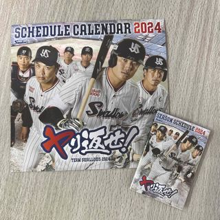 東京ヤクルトスワローズ - 東京ヤクルトスワローズ　2024年　試合日程カレンダーセット