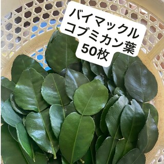 生コブミカンバイマックル50枚+生レモングラスオマケ(野菜)