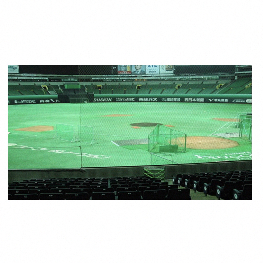 福岡ソフトバンクホークス(フクオカソフトバンクホークス)の4/28 ソフトバンクホークス 西武戦　２枚 チケットのスポーツ(野球)の商品写真