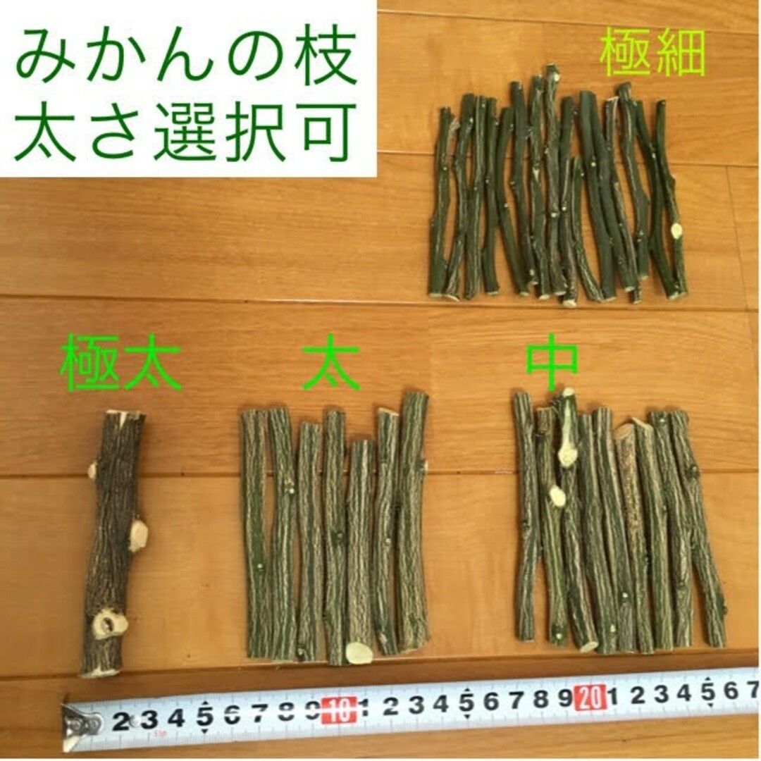 果樹枝 多種 セット 約300g (梱包含) ★うさぎ チンチラ ハムスター その他のペット用品(小動物)の商品写真