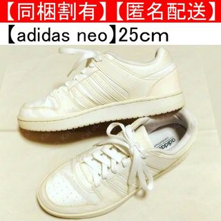 アディダス(adidas)のアディダスネオ adidas neo スニーカー 25cm 白 ホワイト(スニーカー)