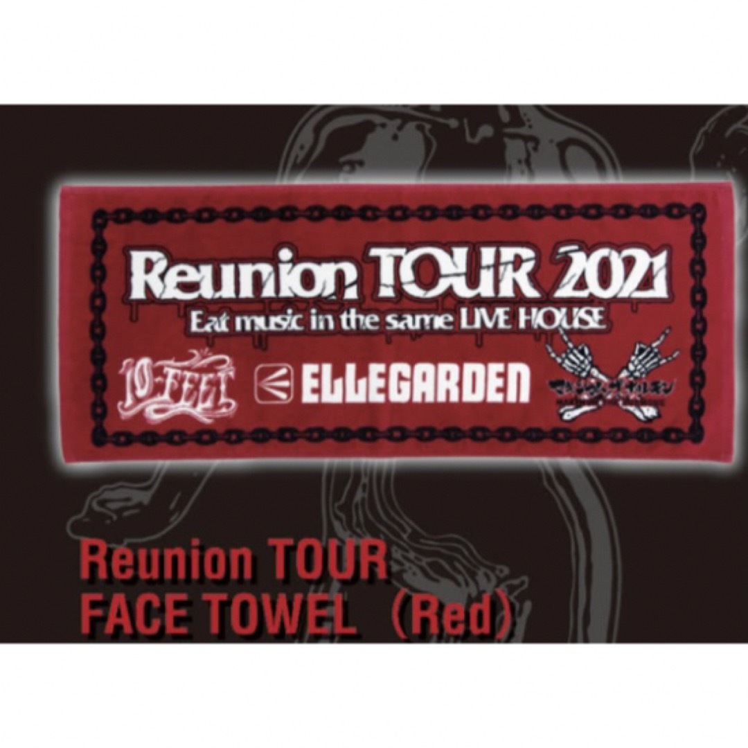 Reunion TOUR    タオル エンタメ/ホビーのタレントグッズ(ミュージシャン)の商品写真