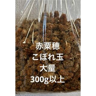 小鳥のおやつ　　赤粟穂　こぼれ玉　300g以上　即購入可◎(鳥)