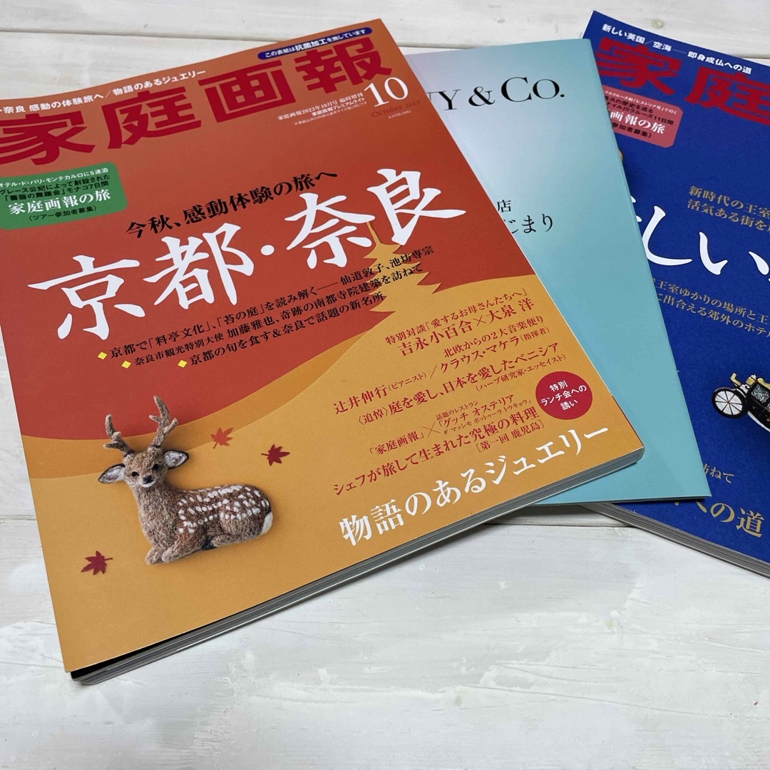 家庭画報プレミアムライト版 2023年 10月号 [雑誌] エンタメ/ホビーの雑誌(ファッション)の商品写真