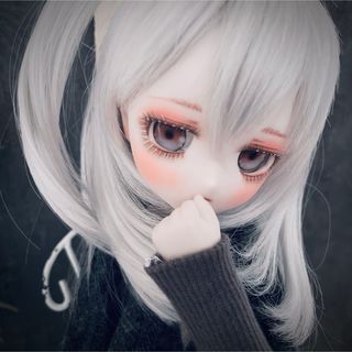 DDH-29 ドルフィードリーム　カスタムヘッド　人形