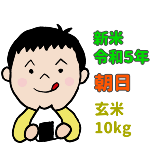 新米 岡山県産 朝日 玄米 10kg 精米可 令和5年産 農家直送(米/穀物)