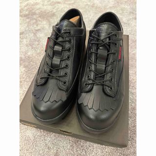 ブリーフィング(BRIEFING)の新品未使用！Danner✖️BRIEFING GOLF シューズ　ブラック(シューズ)