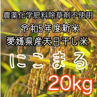 令和5年度★自然栽培天日干し米にこまる20㌔(米/穀物)