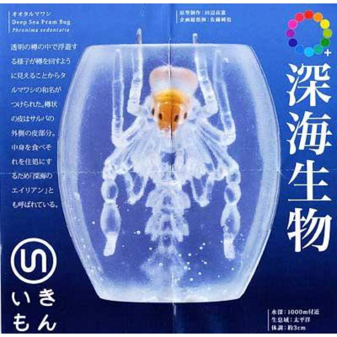 深海生物 オオタルマワシ エンタメ/ホビーのフィギュア(その他)の商品写真