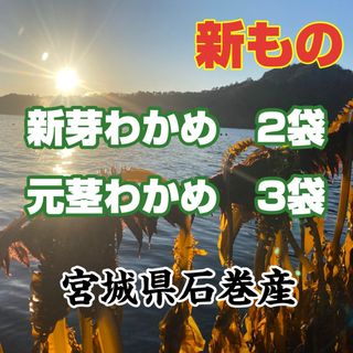 新芽わかめ　元茎わかめセット　宮城県石巻産　新もの(その他)