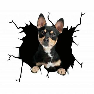 ミニチュアピンシャー カーステッカー 犬 3D シール 傷隠し 壁紙 防水(車外アクセサリ)