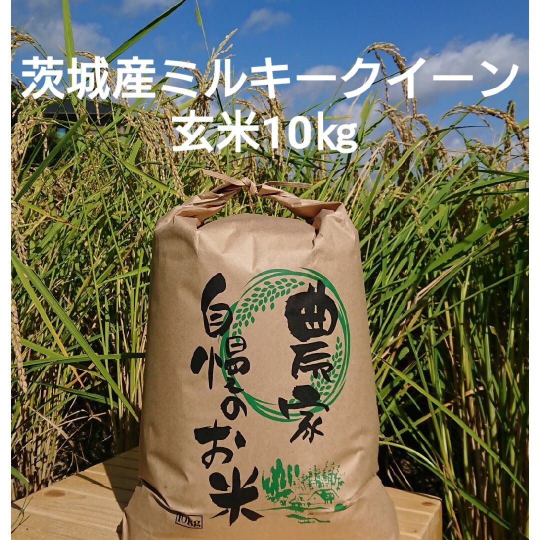 茨城令和5年産ミルキークイーン玄米10kg 食品/飲料/酒の食品(米/穀物)の商品写真