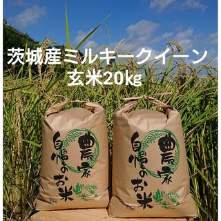 茨城令和5年産ミルキークイーン玄米20kg(米/穀物)