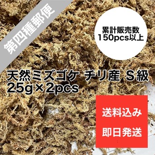 天然水苔 ミズゴケ 乾燥水苔 チリ産 Ｓクラス 25g×2pcs(その他)