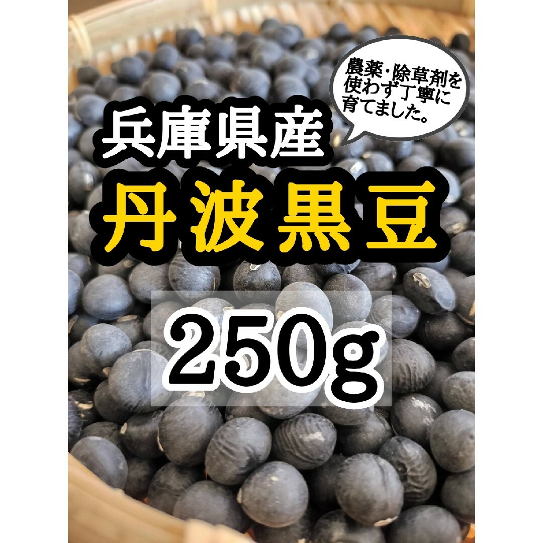 【送料無料】兵庫県産 無農薬 丹波種黒豆 250g  丹波黒 令和5年産 食品/飲料/酒の食品(野菜)の商品写真