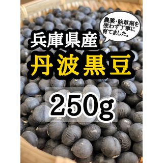 【送料無料】兵庫県産 無農薬 丹波種黒豆 250g  丹波黒 令和5年産(野菜)