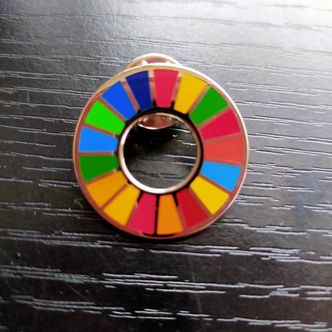 SDGs ピンバッジ エスディージーズ バッジ 襟章 メンズのファッション小物(その他)の商品写真