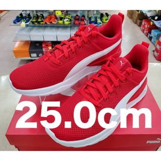 プーマ(PUMA)のPUMAプーマ アンザラン ライト25.0cmカジュアルスニーカー スポーティー(スニーカー)