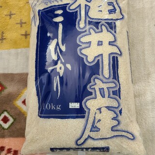 福井県産 こしひかり 10kg(米/穀物)