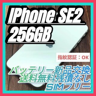 アイフォーン(iPhone)のiPhone 第2世代 (SE2) WHITE 256GB 大容量バッテリー新品(スマートフォン本体)