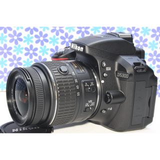 ニコン(Nikon)のWi-Fi内蔵★Nikon D5300★高画質★動画撮影★簡単操作★(デジタル一眼)