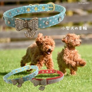 首輪 カラー ハート 小型犬用 PV48 PV79 PV86(犬)