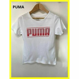 プーマ PUMA Tシャツ 150 白