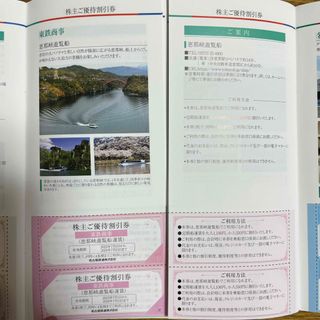 恵那峡遊覧船割引券(その他)