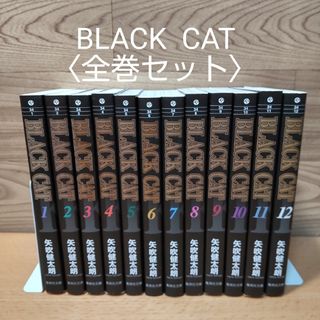 シュウエイシャ(集英社)の【ＢＬＡＣＫ　ＣＡＴ(ブラックキャット)　全巻(１〜１２巻)セット　文庫】(全巻セット)