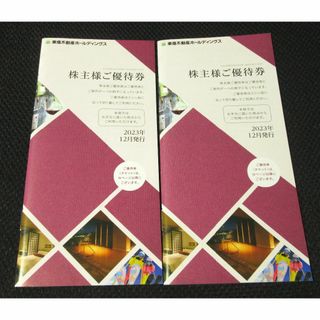 東急不動産　株主優待　冊子2冊分　(100株以上)(その他)