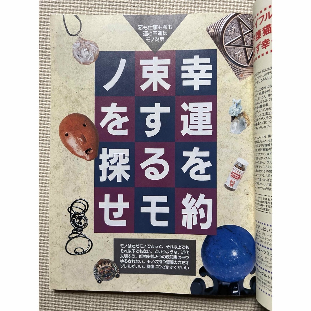 マップルマガジン46首都圈人気占い師完全紹介　94年昭文社 エンタメ/ホビーの雑誌(趣味/スポーツ)の商品写真