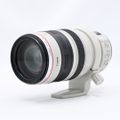 Canon EF28-300mm F3.5-5.6L IS USM