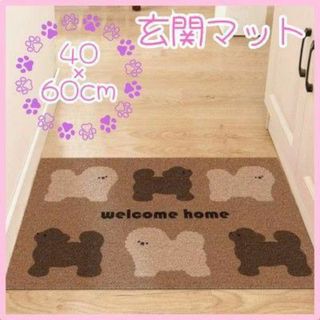 玄関 マット 犬 イヌ 可愛い トイプードル マルチーズ 40×60cm 韓国(玄関マット)