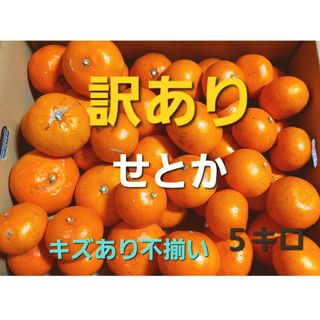 産地直送❕ 香川県産 訳ありせとか ５キロ(フルーツ)